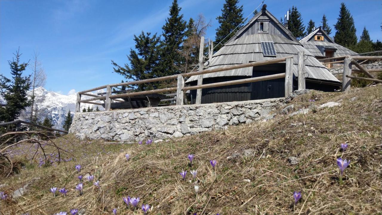 Chalet Resa - Velika Planina Стаховица Экстерьер фото