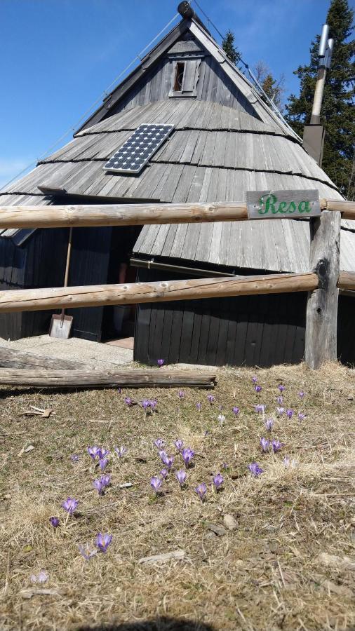 Chalet Resa - Velika Planina Стаховица Экстерьер фото