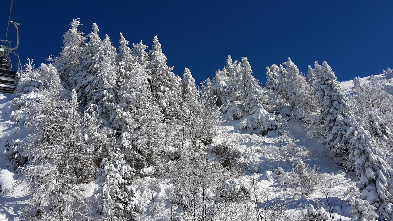 Chalet Resa - Velika Planina Стаховица Экстерьер фото